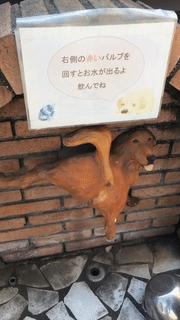 开心笑话2016,开心笑话