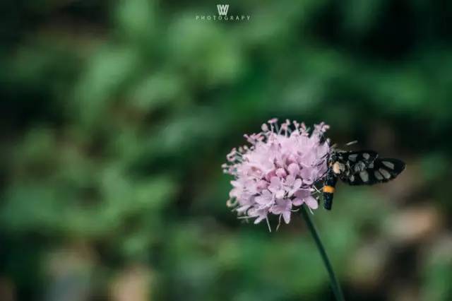 大漠户外旅行虎跳峡徒步详解,虎跳峡徒步168级勇者云梯