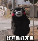 一条微信甩给你教南宁人如何玩转女王节拿走不谢