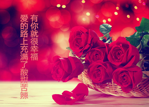 唯美意境的句子带图片,小清新绿色唯美图片