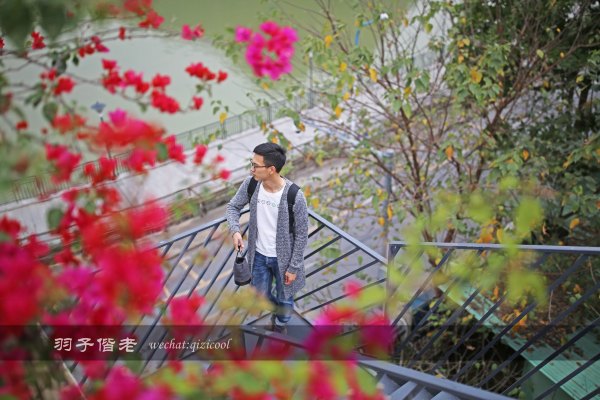 居于涟岸隐于湖，到肇庆体验离尘不离城的精致慢生活