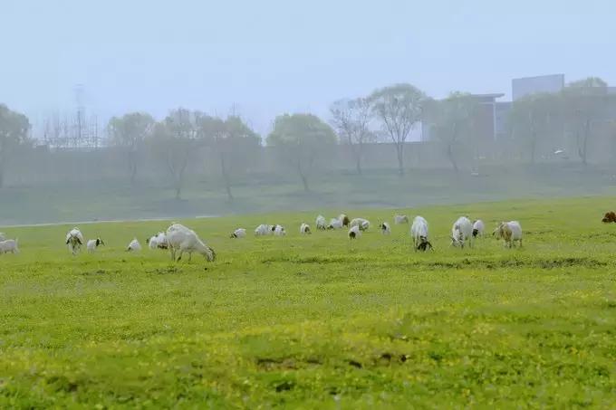 武汉野炊地点推荐,武汉周边烧烤野炊好去处