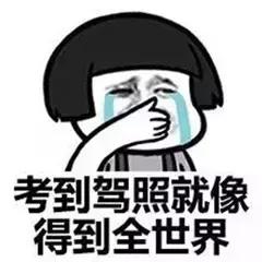 看完这些“奇葩又搞笑”的驾校，就知道你的驾校有多好了！