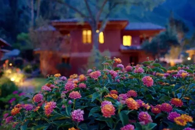 这才是旅行的样子,从亚洲至南美洲,他比我们多了点勇气和决心