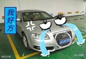 村子修路发现恐龙化石,老人挖出恐龙蛋化石