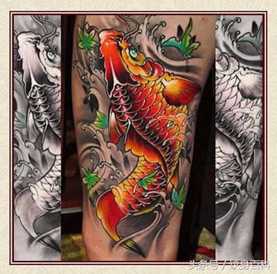 粉丝求图,粉丝求素材原图怎么回复