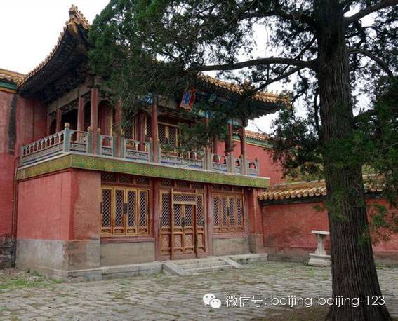 故宫往事紫禁城,紫禁城往事故宫浮影免费观看