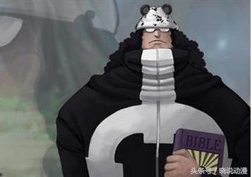 海贼王除了路飞，萨博罗都是戴帽强者，乔巴到底是怎么戴帽子的？