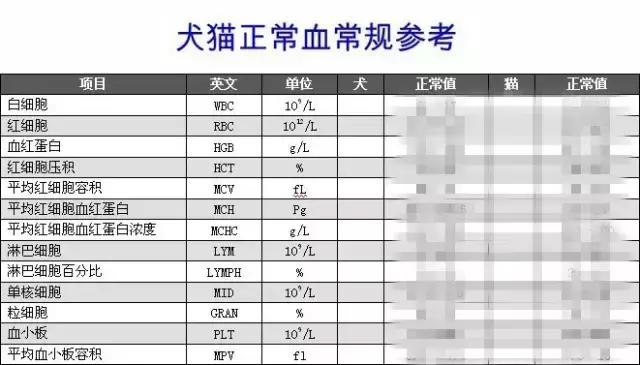 宠物常规化验包括哪些项目,宠物医生诊断视频