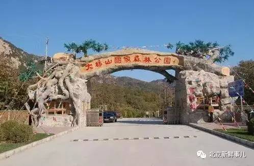 北京赏花踏青自驾游,北京国家森林公园踏青