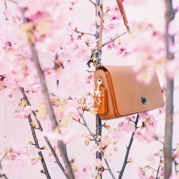 coach蔻驰包包1982,coach蔻驰2024新款包包