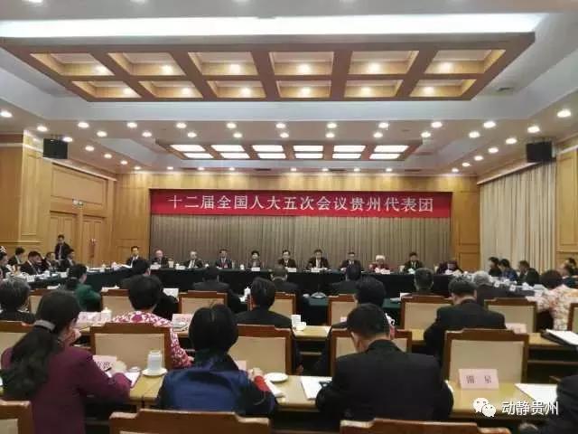 拒当“三手代表”，到贵州代表团审议现场来看