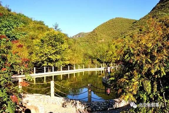 北京植物园踏青赏花,踏青赏花北京