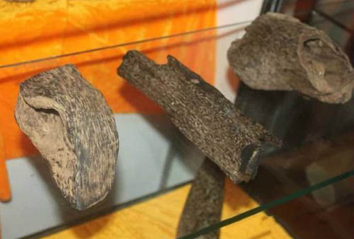 中国800元在越南买沉香,上海人在越南买假沉香