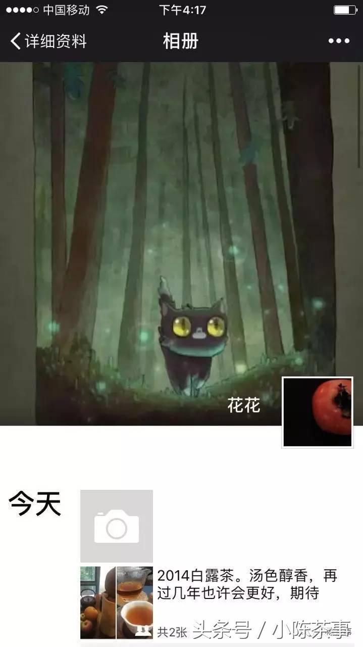 15年白露茶散茶,2019年的白露茶