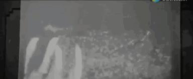 贞子抗战神剧,有贞子的抗战影片