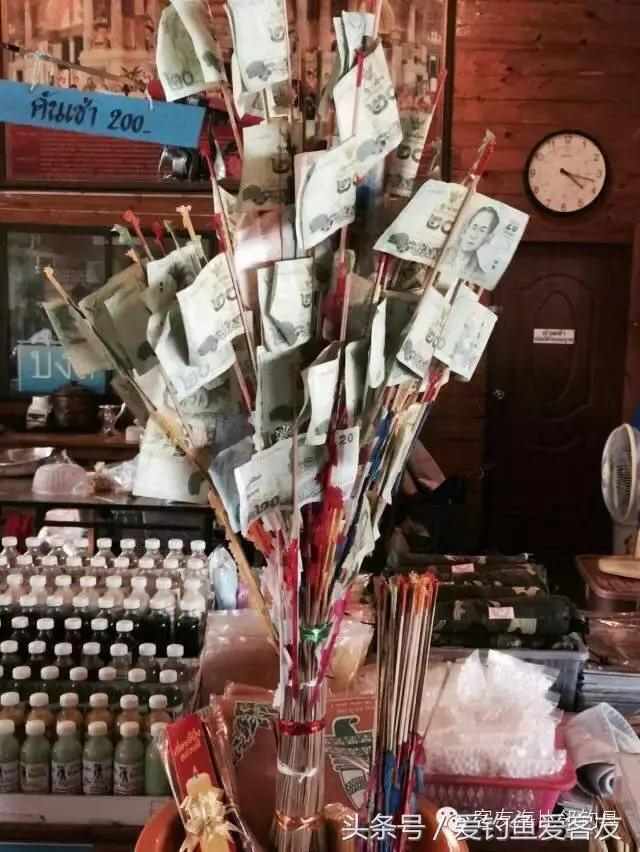 泰国巨骨舌鱼钓场位置,泰国钓鱼钓巨物位置