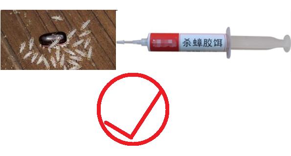 喷雾蟑螂杀虫剂有效果吗,喷雾的蟑螂药哪个牌子好