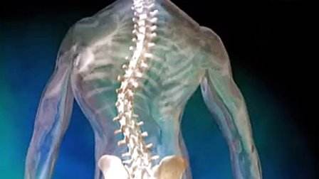 很费鞋的1种病，跑、跳、走、站都特累，预防很重要