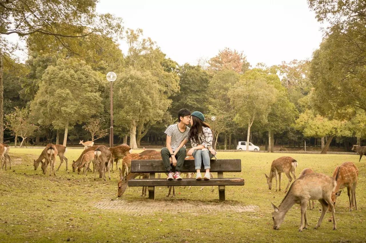 您的《旅行自拍秘籍》到货，请签收！