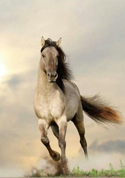 职场技能提升网站有哪些,干货帮你提升自我价值