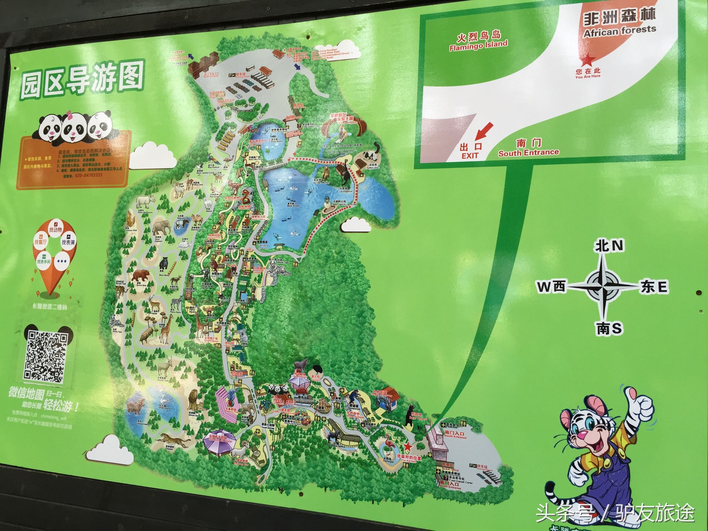 广州长隆亲子游旅行攻略,广州长隆4园2天1夜亲子游攻略