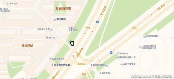 猫死在屋里腐烂了怎么处理,猫死多久身体僵硬