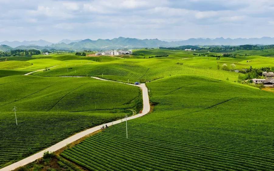 祈福梵天,祈福祈愿来年风调雨顺国泰民安