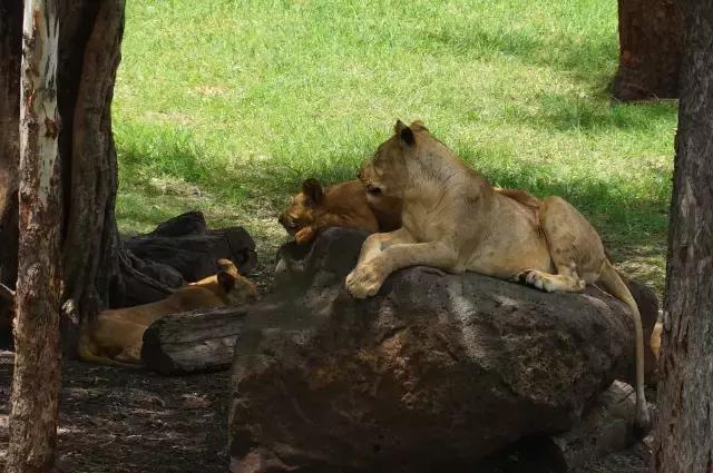 毛里求斯，拿水壶换保时捷的天堂