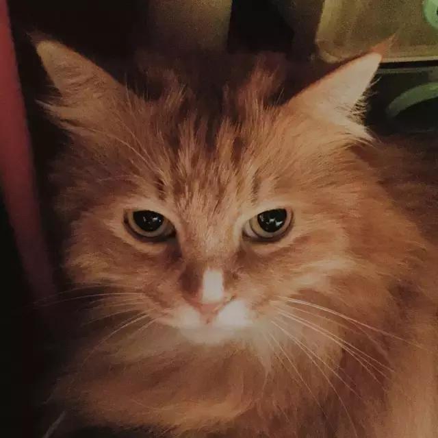 身为女人何以解忧,身为母亲的困惑