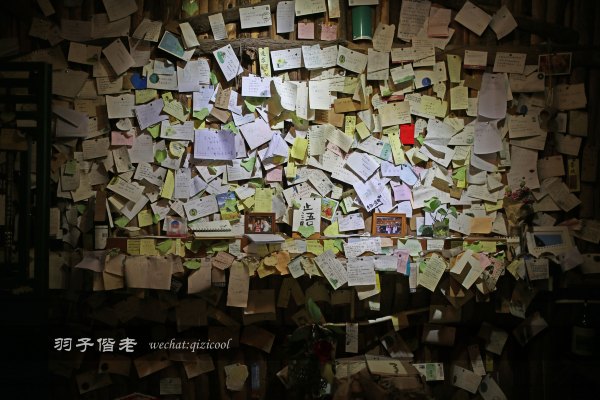 居于涟岸隐于湖,到肇庆体验离尘不离城的精致慢生活