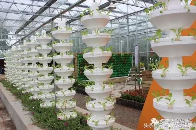 潼南附近的城市好玩的地方,潼南是不是个好地方