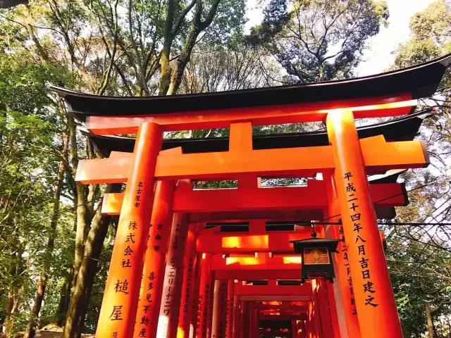 大阪京都旅游攻略三天,日本大阪京都旅游游记