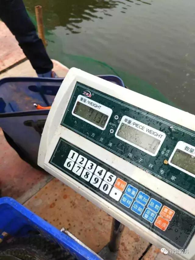 自己对渔获还算满意吧?