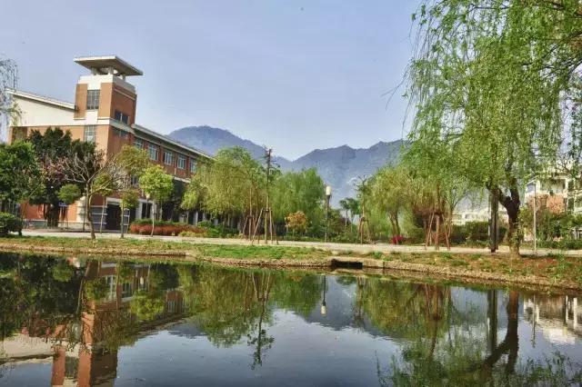 十大最好的法学院,排名前十的大学法学院