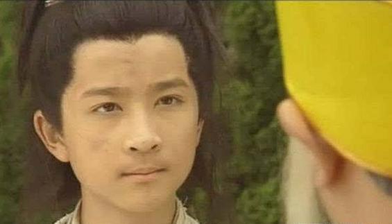 陆毅少年包青天简介,陆毅版包青天的主要演员名单