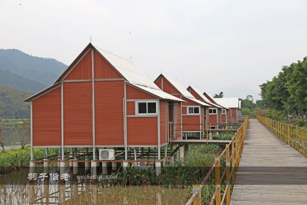 居于涟岸隐于湖,到肇庆体验离尘不离城的精致慢生活