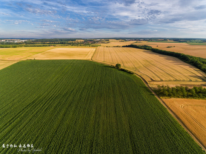 歌德与席勒,歌德为席勒写的诗