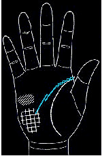 手的生命线是越长越好吗,手纹上的生命线越长越好吗