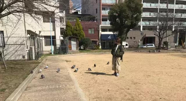 日本攻略大阪京都,京都奈良大阪流水账