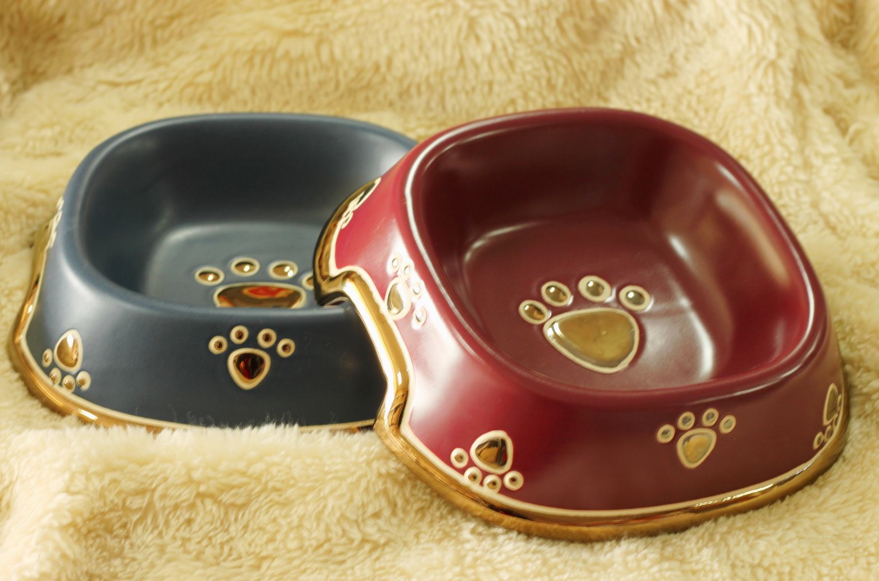 猫咪来到新家不吃不喝咋办,新到家猫咪不吃猫粮怎么办