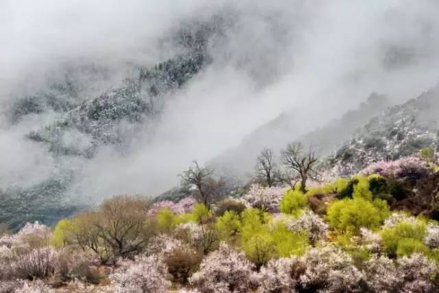 涓夌敓涓変笘鍗侀噷妗冭姳鐧芥祬,涓夌敓涓変笘鍗侀噷妗冭姳灏戣緵