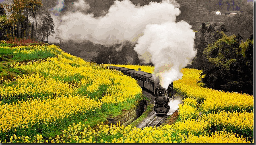 成都｜‘晓博物阅生活’一场与博物馆的美丽邂逅