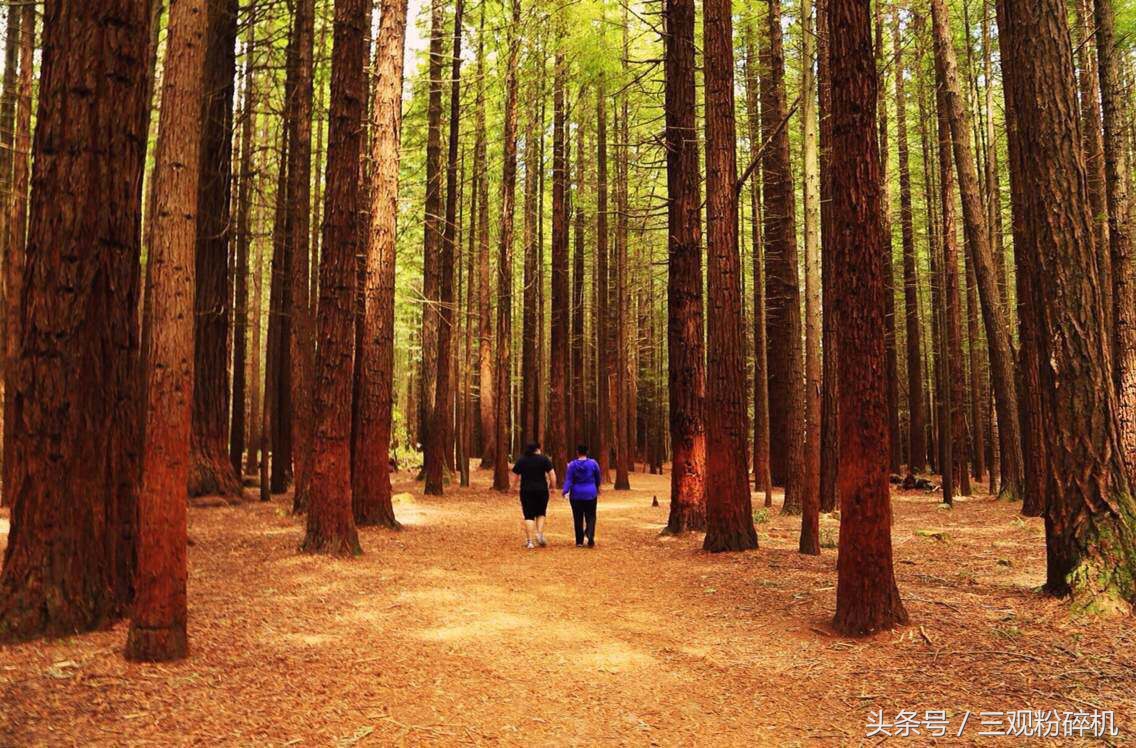 城市诗歌之金华咏