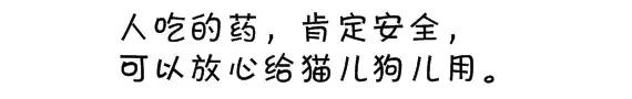 宠物不能喂人用的药,科普宠物不能吃的人类药品