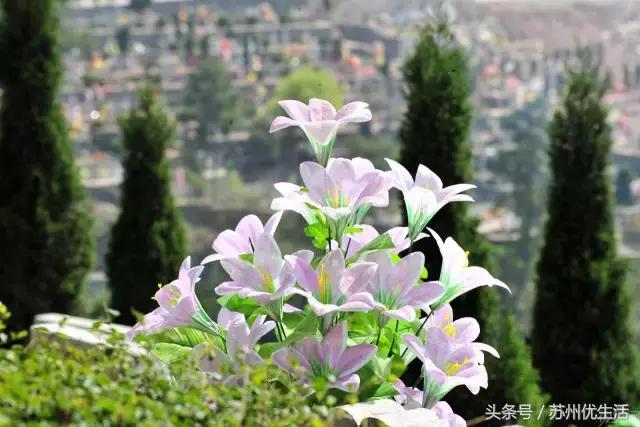 清明小长假出行这份攻略请收好,清明三天小长假去哪里玩呢