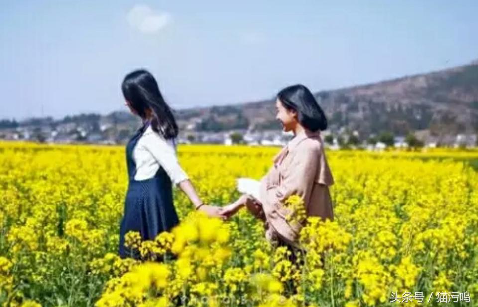 花的海洋让人心情愉悦,花的海洋真实图片大全