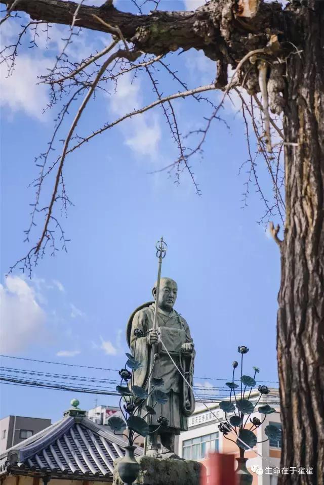 拉面 · 自动贩售机 · 雪｜云之彼岸的日本欢脱之旅