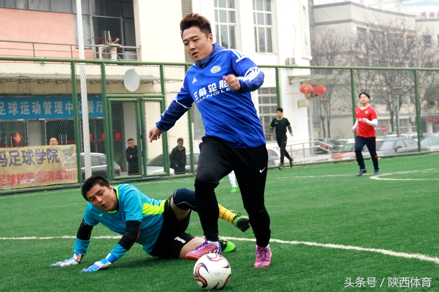 植树节种下一棵树守护一方水土,2020的植树节在心里种下一棵树