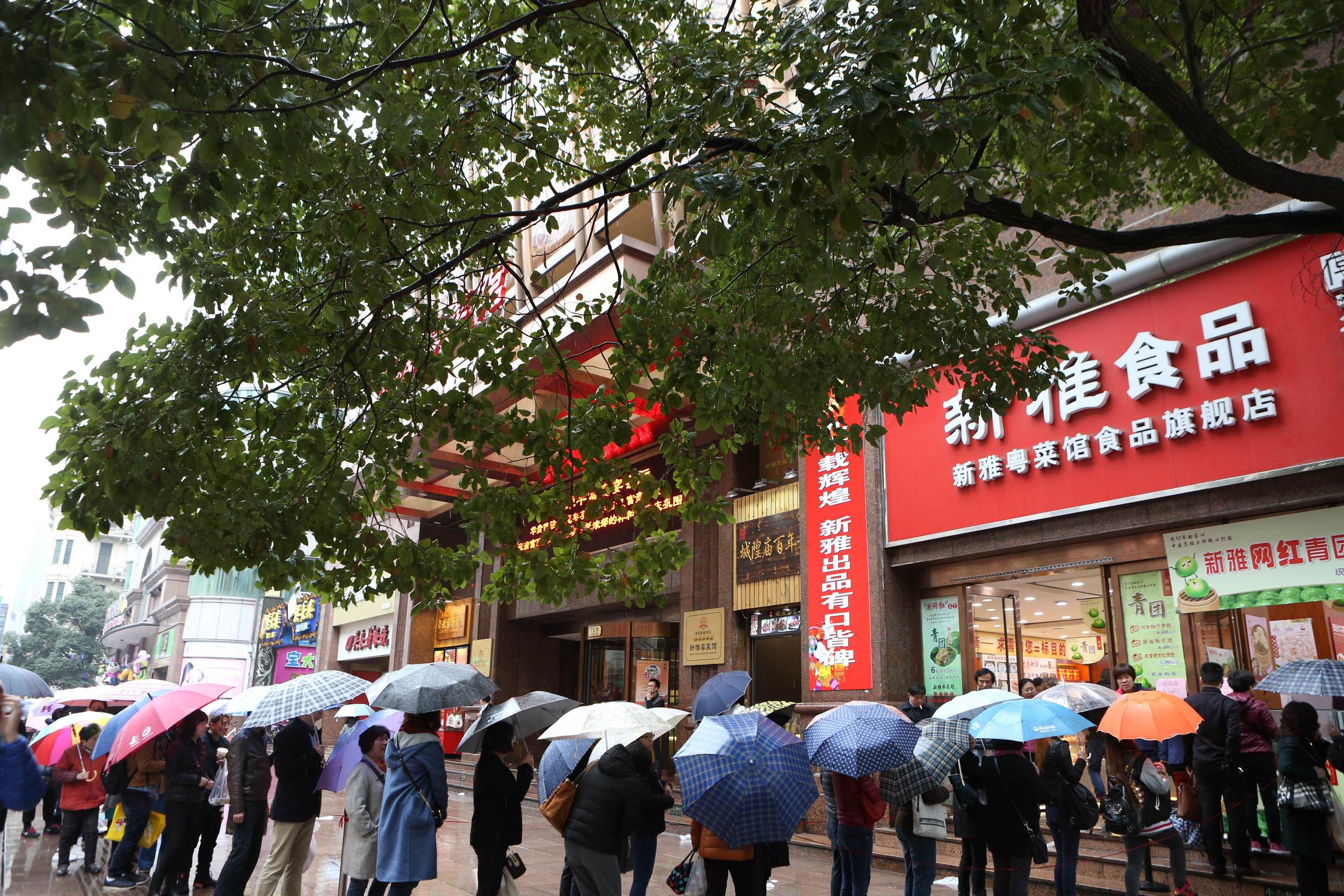 上海正宗腌笃鲜,上海青团直播现卖